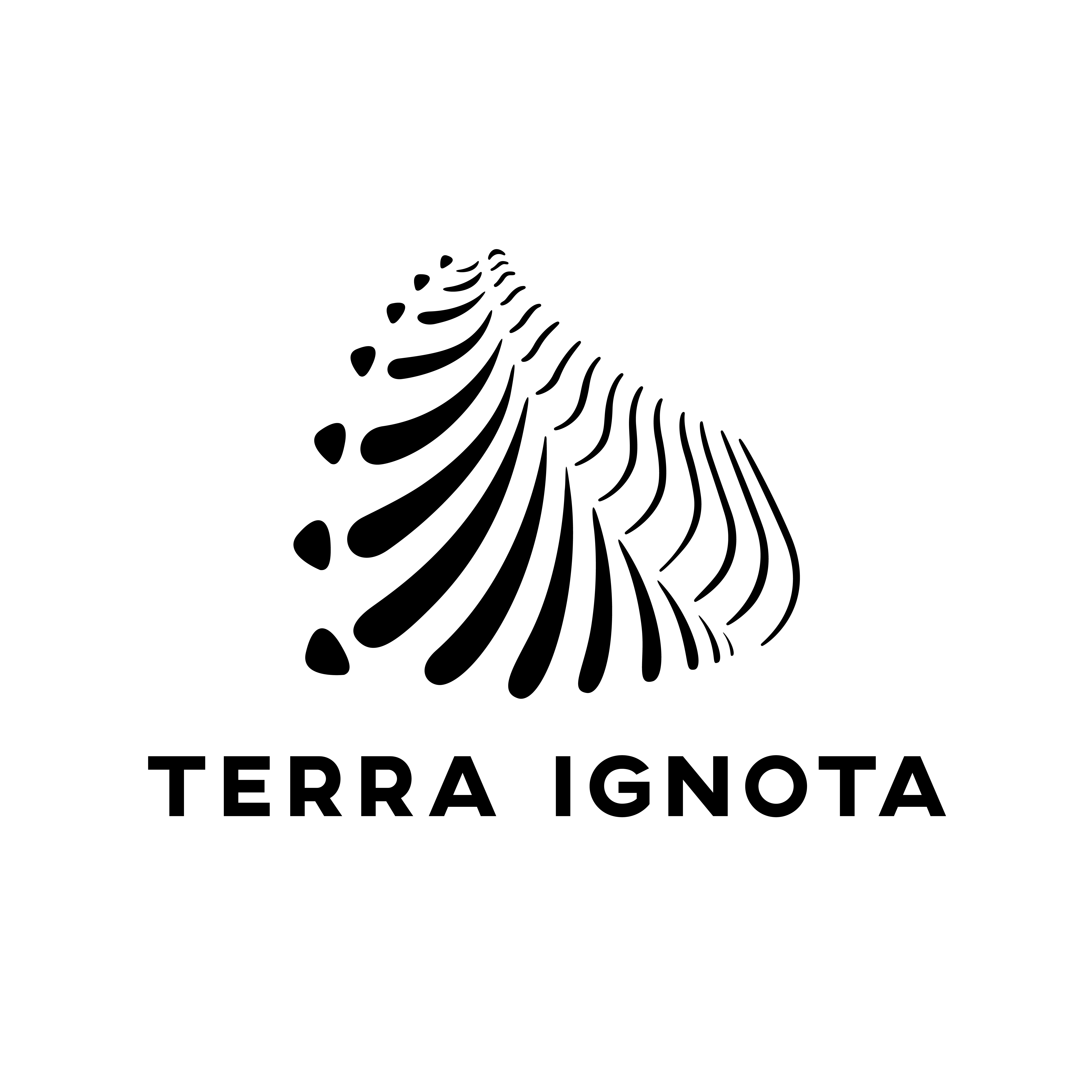 TERRAIGNOTA_LOGO-03
